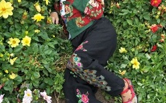 甘宝宝又软又大